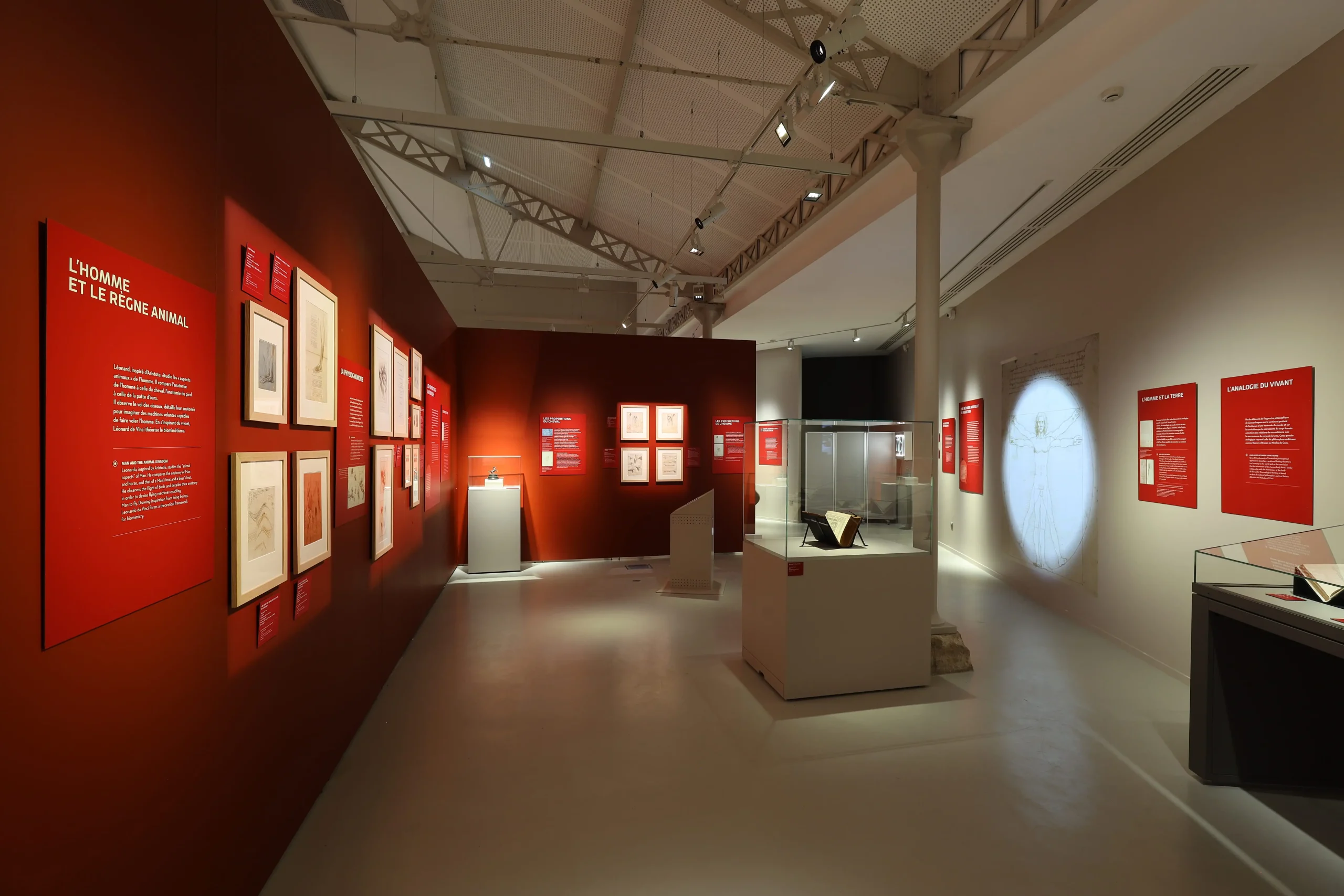4Exposition-Léoanard-de-Vinci-et-l_anatomie-©-Château-du-Clos-Lucé-Photo-Léonard-de-Serres-_31_