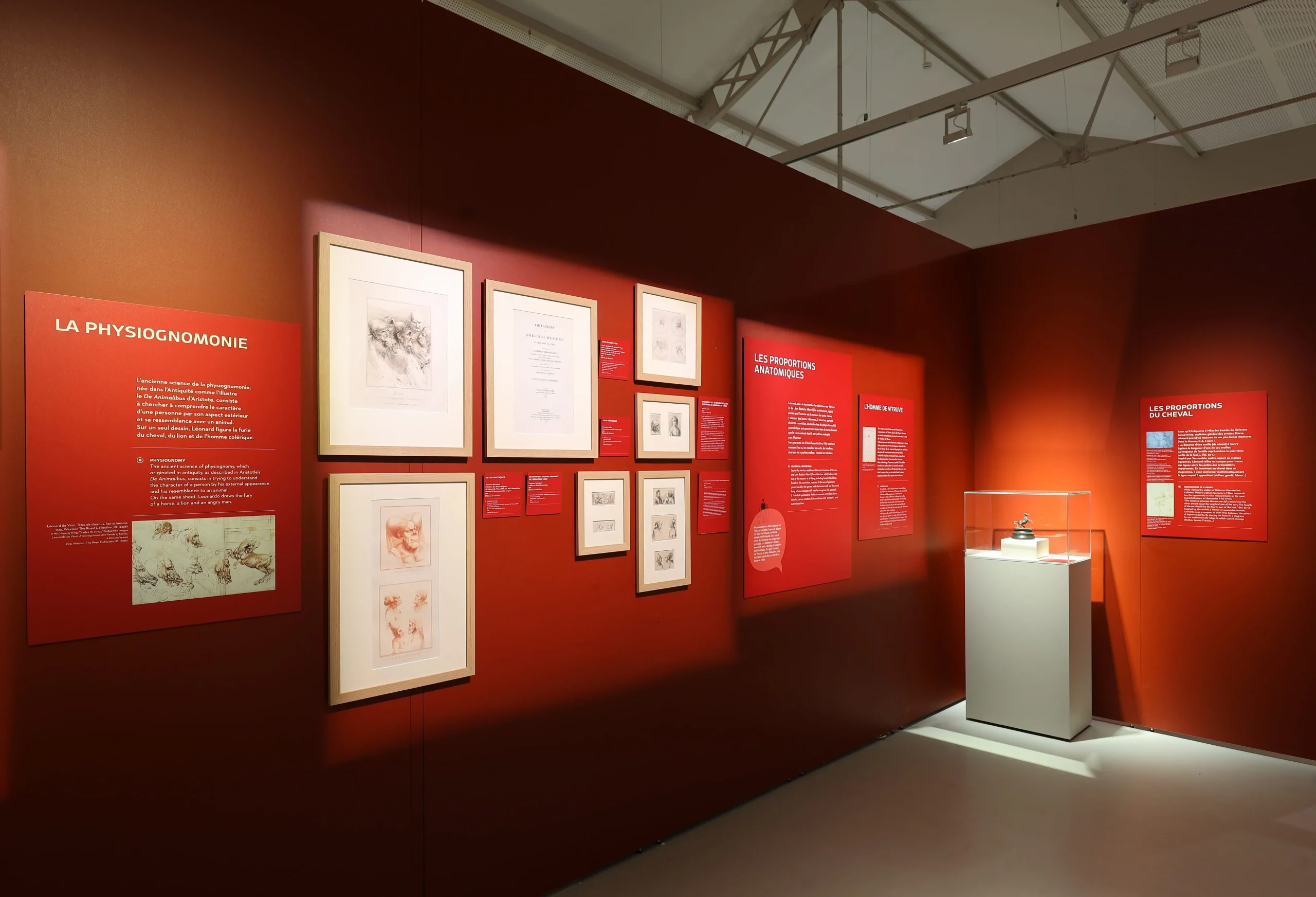 5Exposition-Léoanard-de-Vinci-et-l_anatomie-©-Château-du-Clos-Lucé-Photo-Léonard-de-Serres-_29_