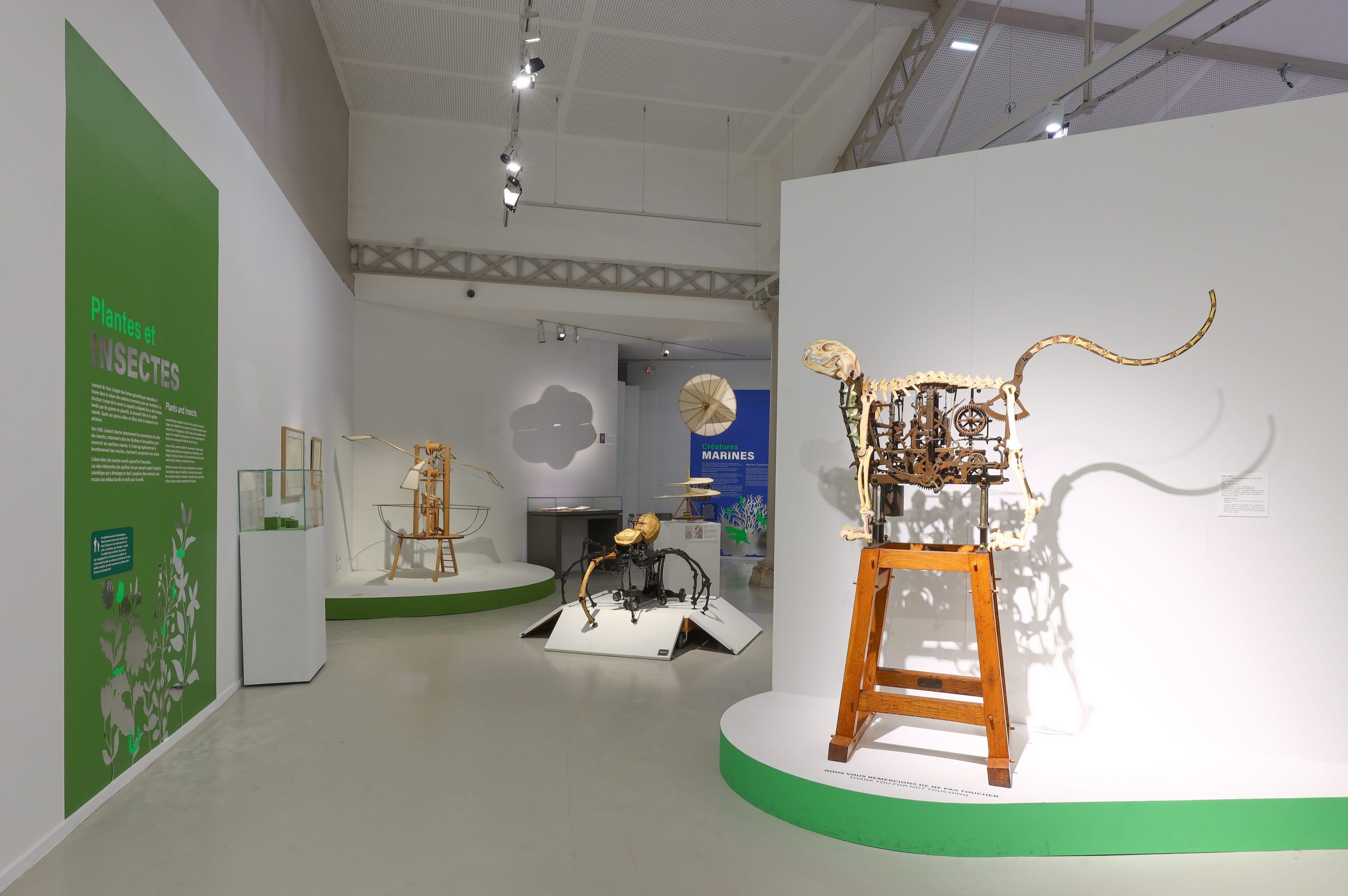 Exposition S'inspirer du vivant © Château du Clos Lucé - Parc Leonardo da Vinci